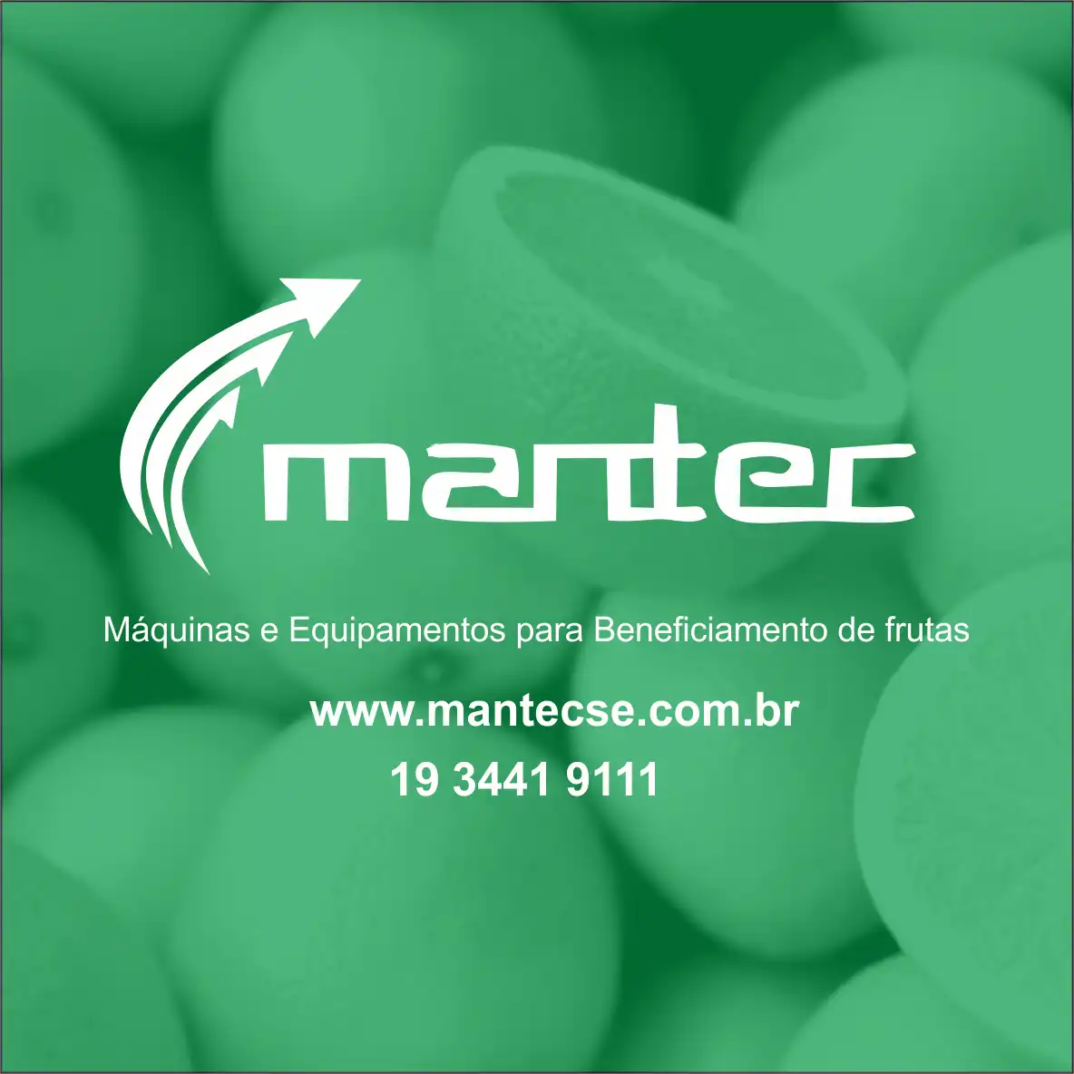 Logotipo Maquinas e Equipamentos para Beneficiamentos de Frutas
