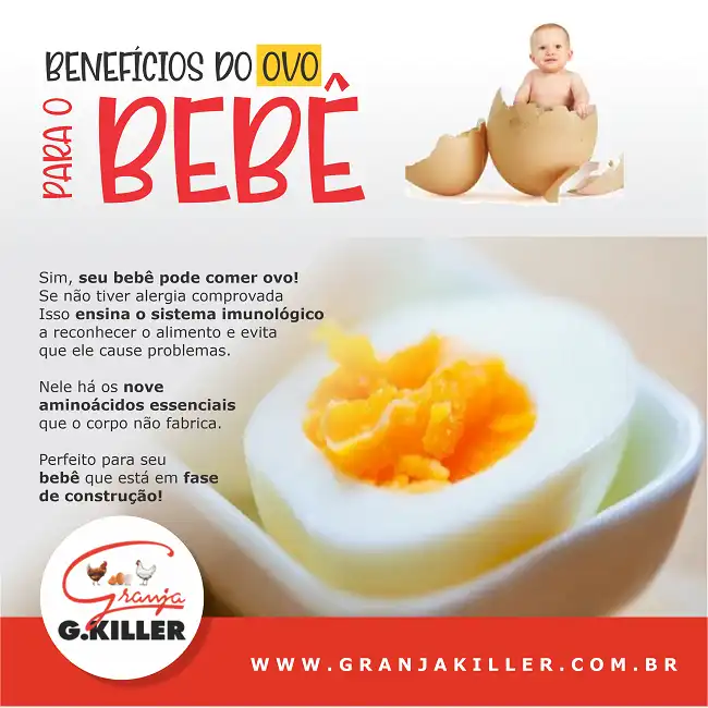 Propaganda Benefícios do Ovo para o Bebê
