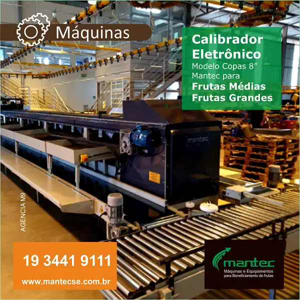 
Propaganda Calibrador Eletrônico de Frutas Médias e Grandes Agrícolas



