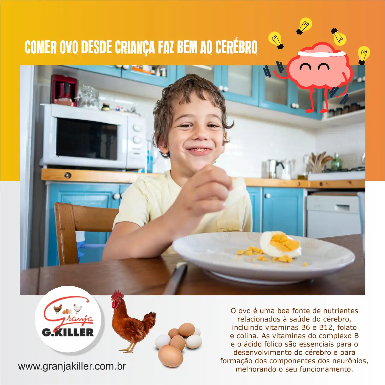 
Propaganda Comer Ovos desde criança faz bem para o cérebro Granja de Ovos Caipira de Galinhas Livres




