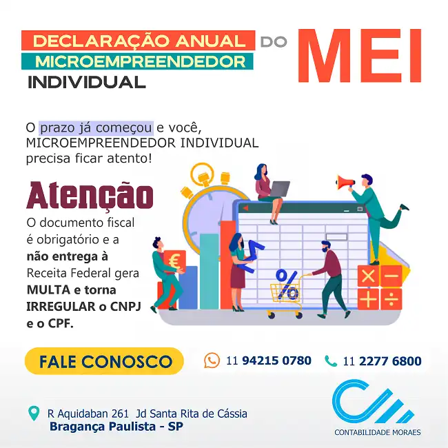 Propaganda Declaração Anual MEI
