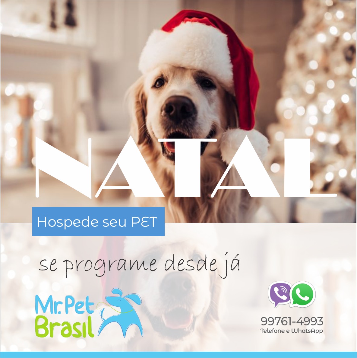
Propaganda Natal Hotal Pet Hospede seu pet no feriado de Natal



