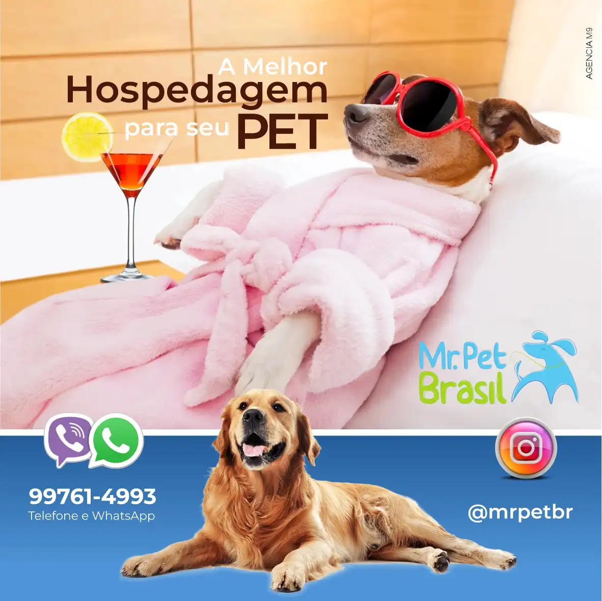 
Propaganda Post Hospedagem de Pet Hotel para Pet



