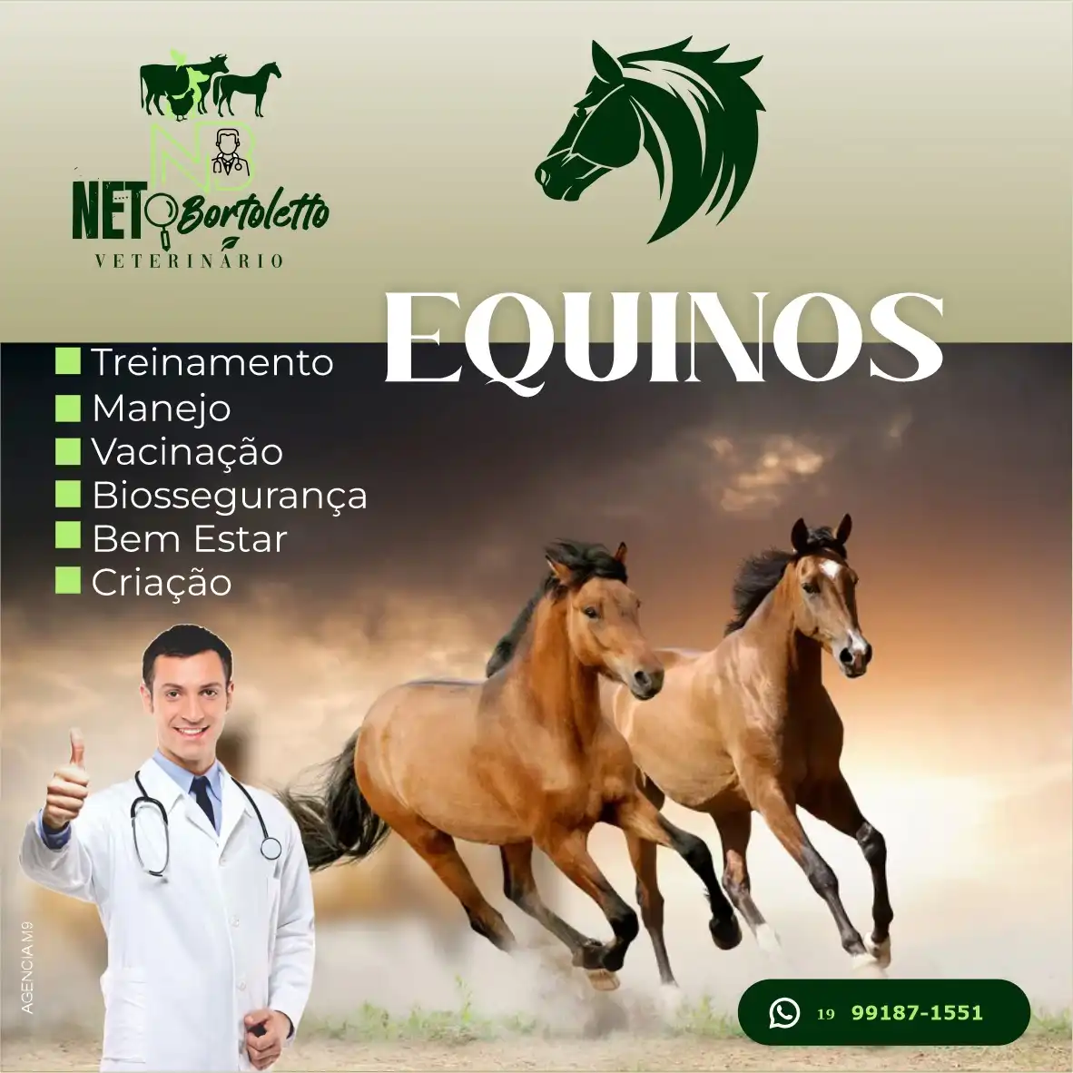 
Propaganda Post Veterinário de Equinos Cavalos



