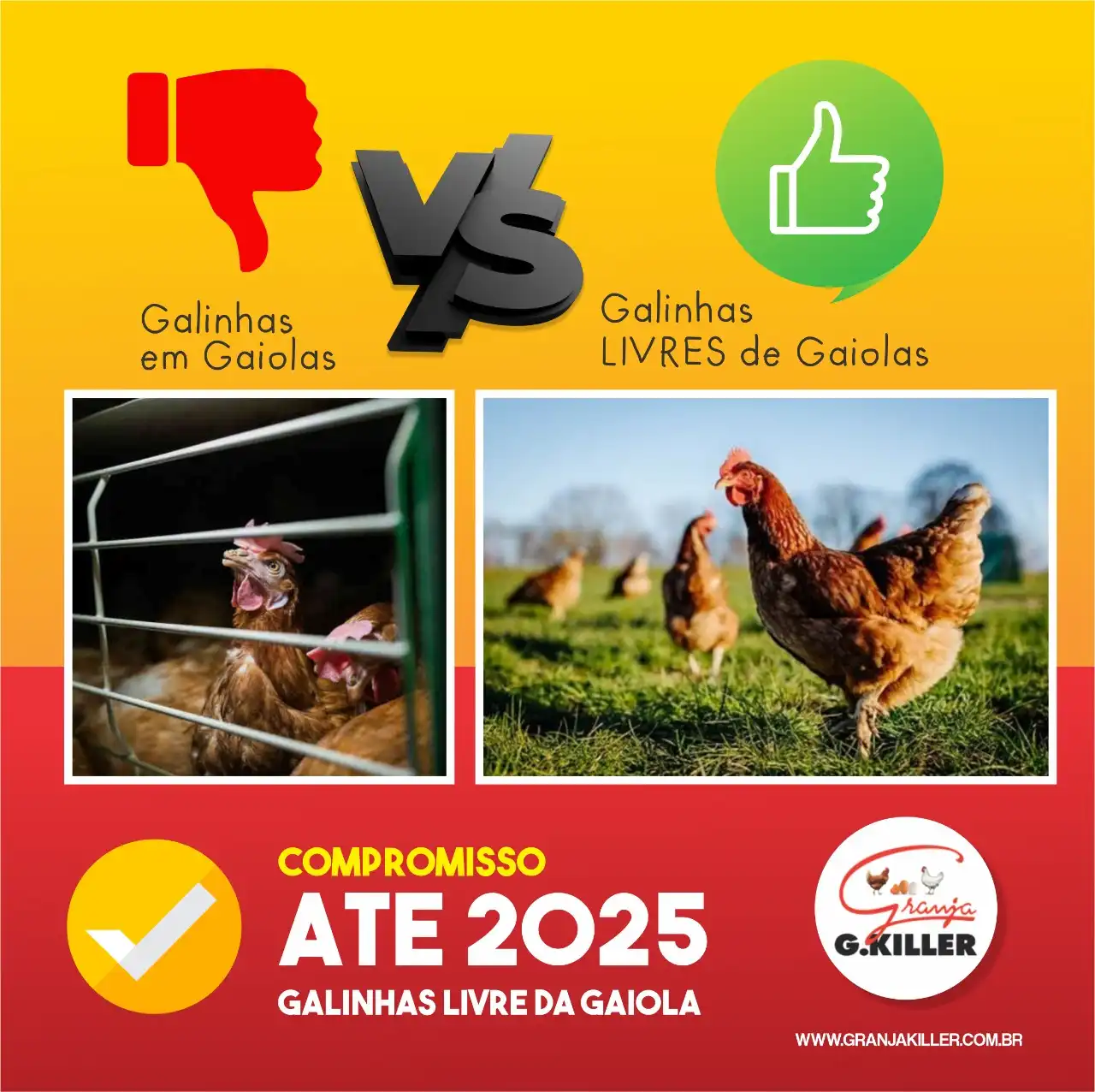 
Propaganda de Post  Galinhas Livres de Gaiolas



