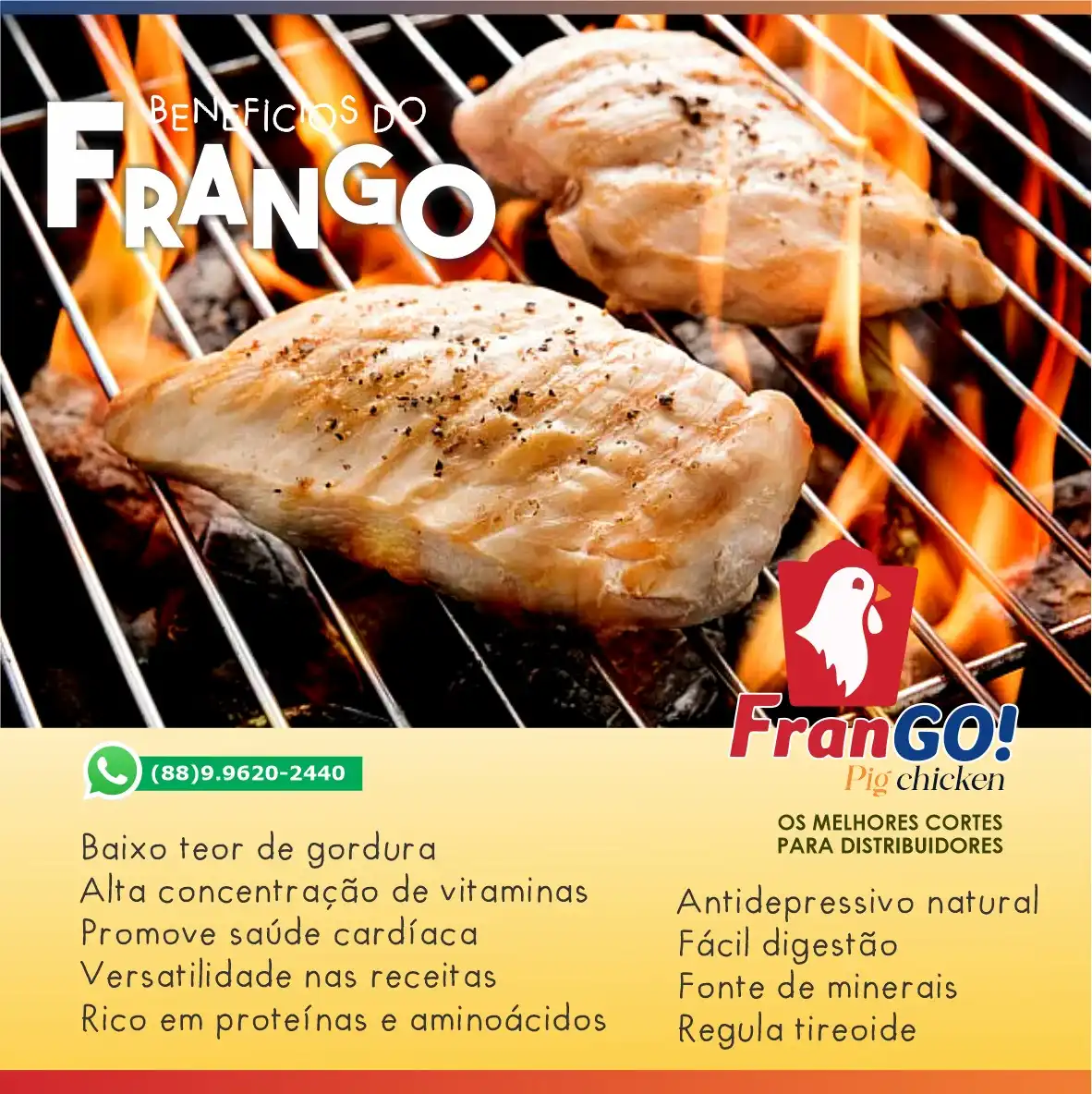 
Propaganda de Post Principais Benefícios do consumo de Frango



