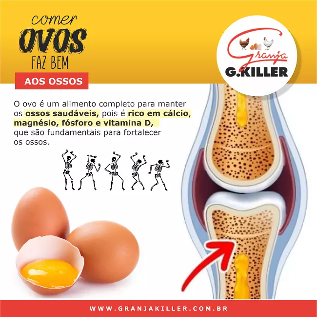 Propaganda para Granja de Ovos sobre Benefícios do Ovo para os Ossos
