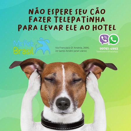 
Propaganda para Hotel Pet



