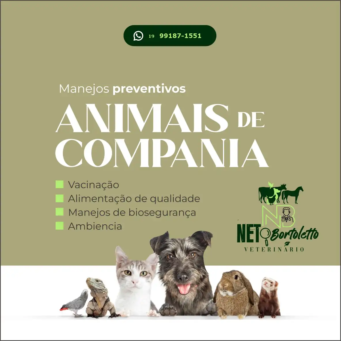 
Propaganda para Veterinário Manejos Preventivos para Animais de Compania



